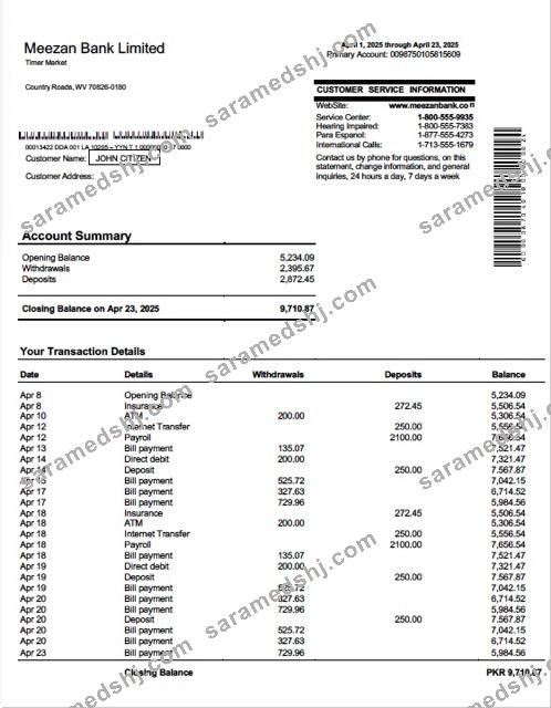 Pakistan Meezan Bank Limited account statement Word and PDF template